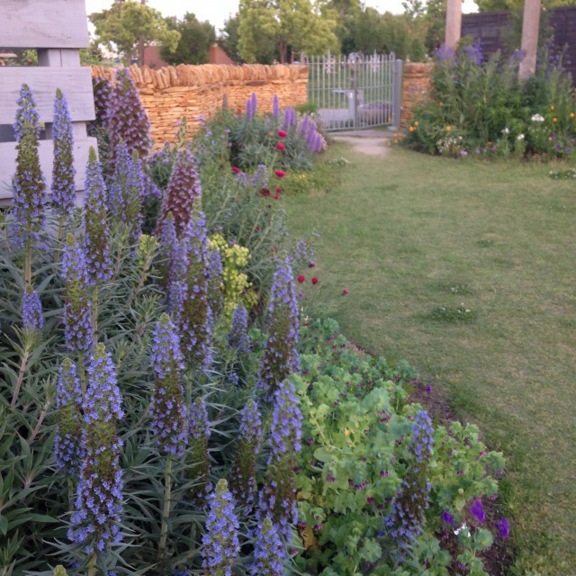 ガーデニングと植物のしくみ 庭づくりの基本について 庭仕事講座 News フィーカ