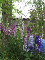 少しの間、ショップの庭でも贅沢に。