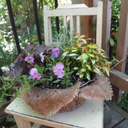 葉色を楽しむバスケット